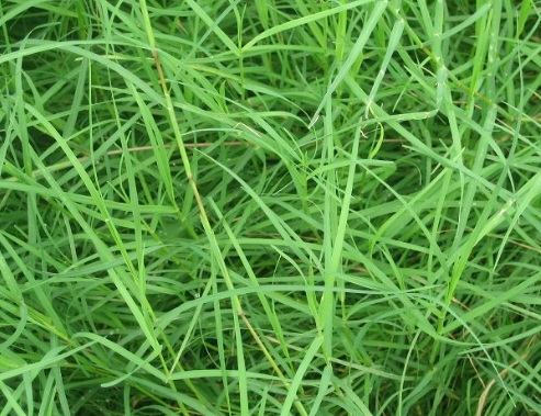 1631845436550176.jpg image.jpg