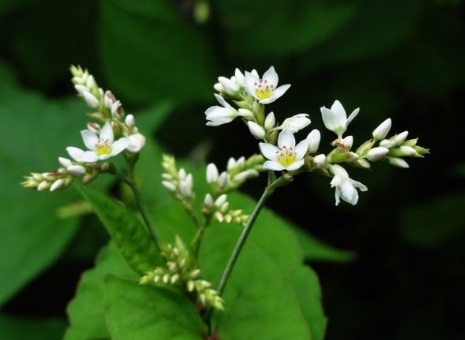 1631846349976893.jpg 1631846349976893.jpg