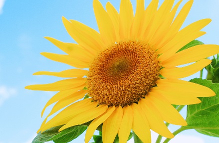 1631846452413712.jpg 1631846452413712.jpg