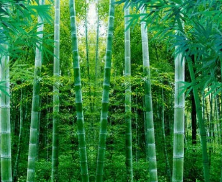 1631847166845733.jpg image.jpg