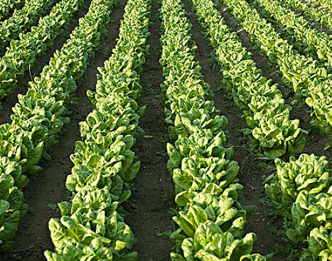 1631847331700408.jpg image.jpg