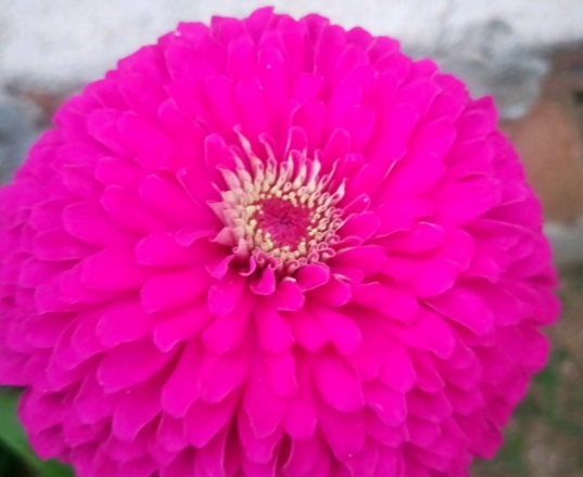 1631865138199192.jpg 1631865138199192.jpg