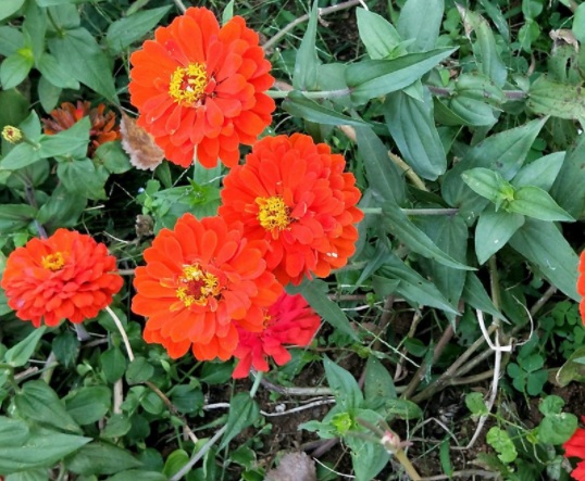 1631865156874166.jpg 1631865156874166.jpg