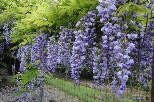 1631866727965529.jpg image.jpg