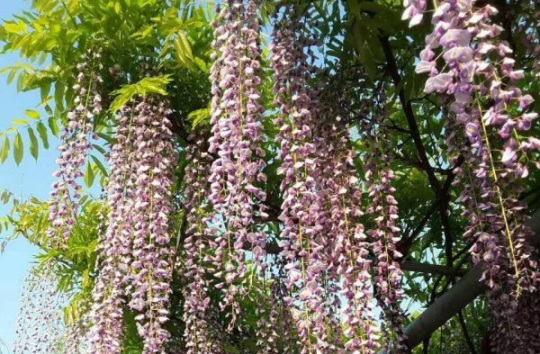 1631866881353971.jpg image.jpg