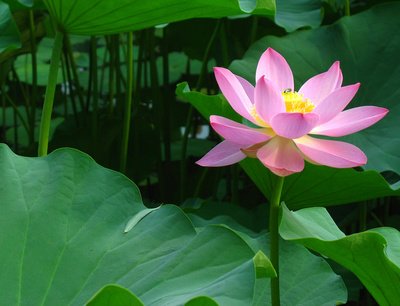 1631880902435672.jpg 1631880902435672.jpg