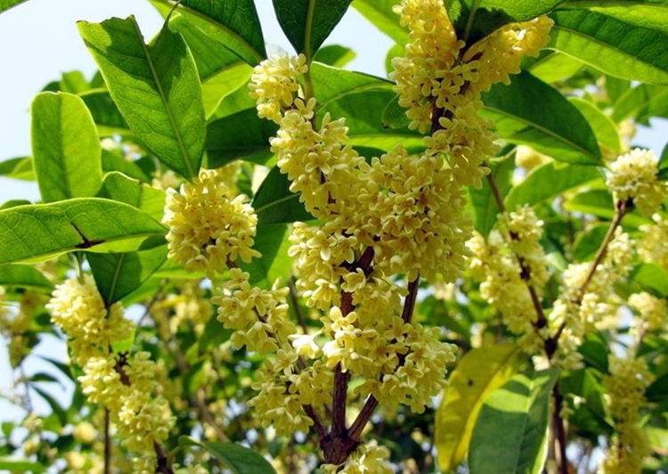 1631882347733912.jpg 1631882347733912.jpg