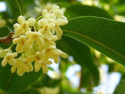 1631882400781526.jpg 1631882400781526.jpg