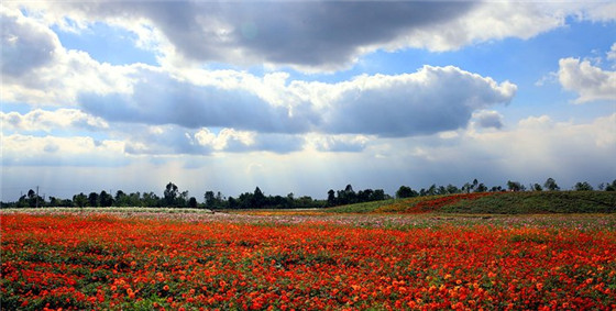 1631882664951922.jpg 1631882664951922.jpg