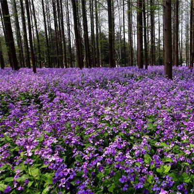 1631882706924113.jpg 1631882706924113.jpg