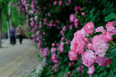 1631885547452468.jpg 1631885547452468.jpg