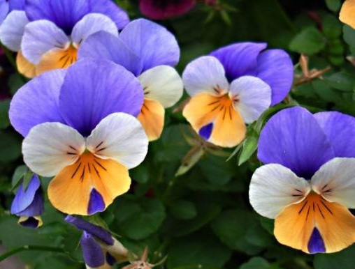 1631888811504259.jpg 1631888811504259.jpg