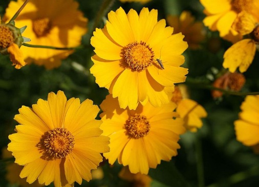 1631888888697640.jpg 1631888888697640.jpg