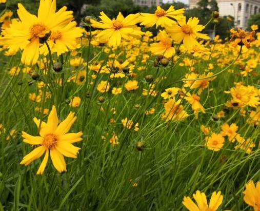 1631888913781102.jpg 1631888913781102.jpg