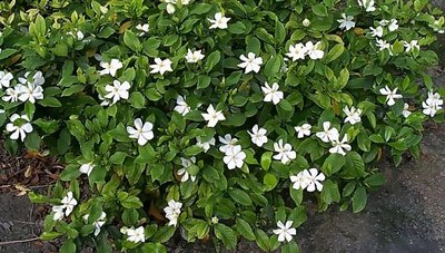 1631890074431294.jpg 1631890074431294.jpg