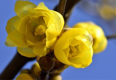 1631968810910713.jpg 1631968810910713.jpg