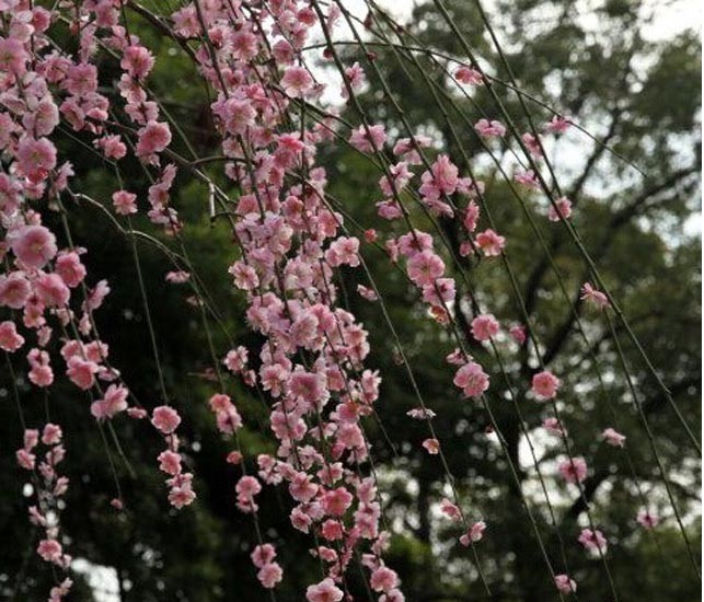 1631969180886745.jpg 8a417651e5068a51fb220bae3902ec80_11-26-30-71-85008.jpg