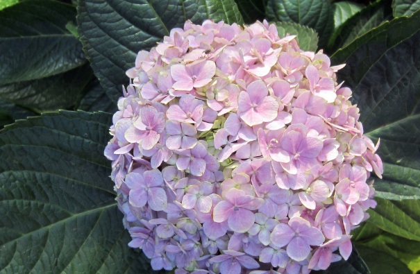 1632271001316603.jpg 1632271001316603.jpg