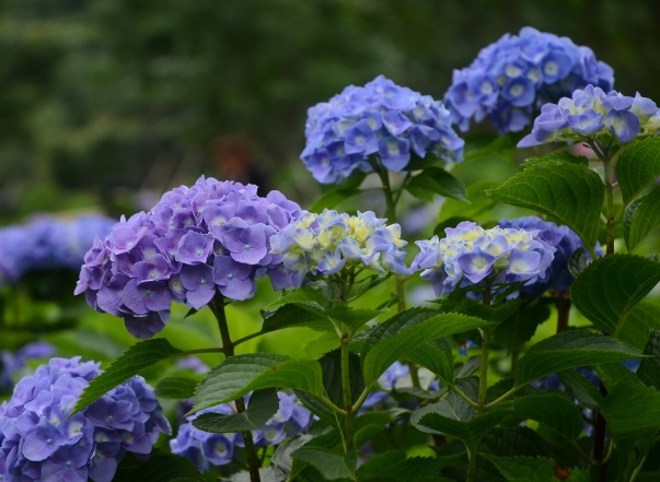 1632271082915152.jpg 1632271082915152.jpg