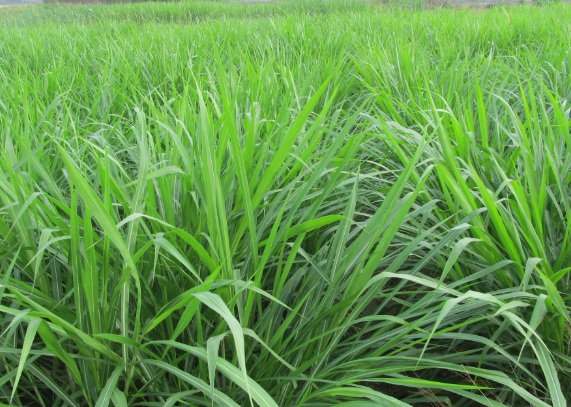 1632273142513178.jpg image.jpg