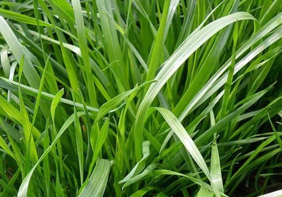 1632273157712831.jpg image.jpg