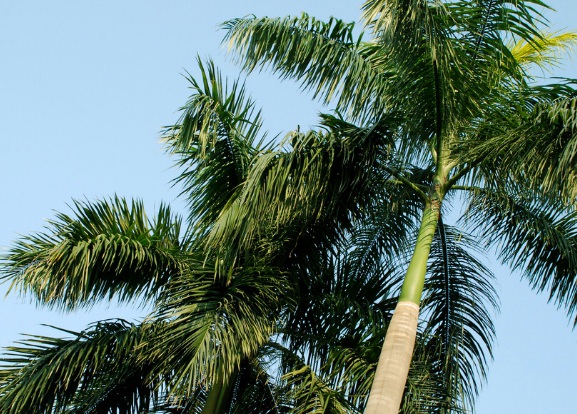 1632277160195504.jpg image.jpg