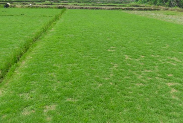 1632280295841805.jpg image.jpg