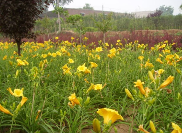 1632280438676203.jpg 1632280438676203.jpg