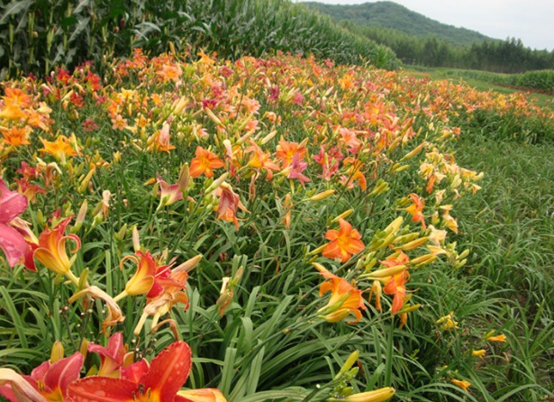 1632280453246768.jpg 1632280453246768.jpg