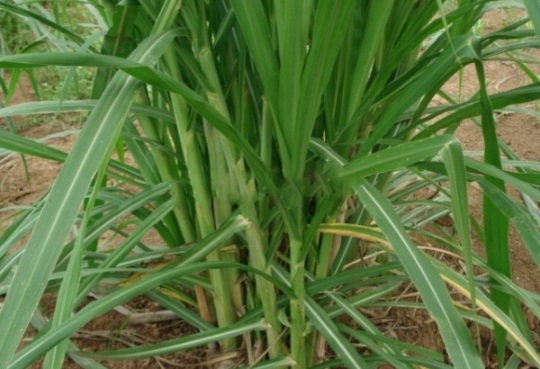 1632289649666155.jpg image.jpg