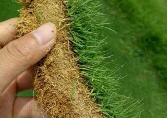 1632289977305255.jpg image.jpg