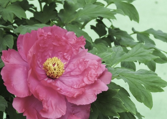 1632292267792059.jpg image.jpg