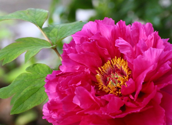 1632292277423300.jpg image.jpg