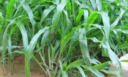 1632294595244923.jpg image.jpg