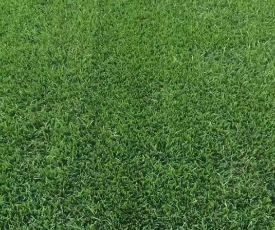 1632364070682990.jpg image.jpg