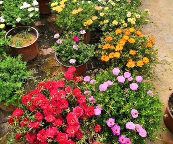 1632364898410496.jpg image.jpg