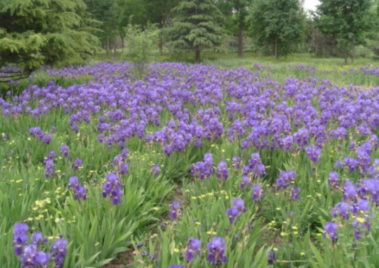 1632380125901979.jpg image.jpg