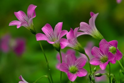 1632395977683311.jpg 1632395977683311.jpg