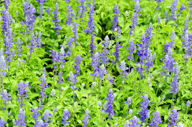 1632398071767659.jpg 1632398071767659.jpg