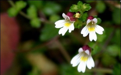 1632398668679052.jpg 1632398668679052.jpg