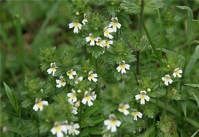 1632398707455254.jpg 1632398707455254.jpg