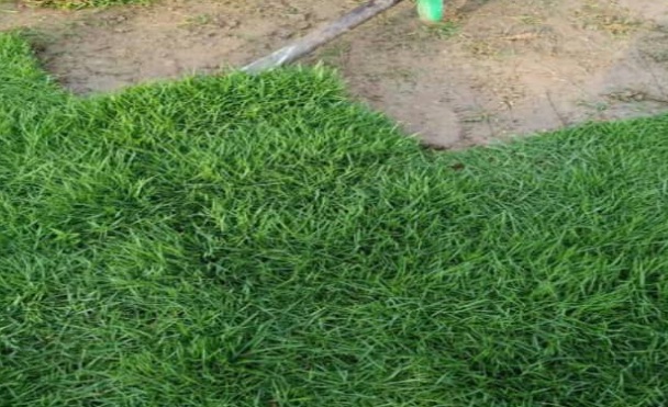 1632443311680522.jpg image.jpg