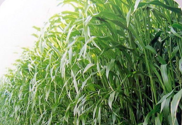 1632452692500004.jpg image.jpg