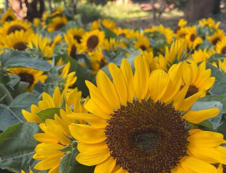 1632470378449573.jpg 1632470378449573.jpg