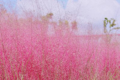 1632481932804202.jpg 1632481932804202.jpg