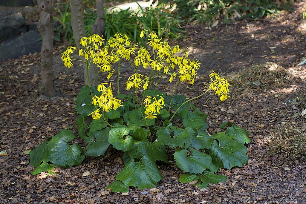 1632567345224158.jpeg 1632567345224158.jpeg