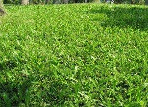 1632567670258241.jpg 1632567670258241.jpg