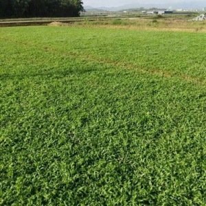 1632567725643641.jpg 1632567725643641.jpg