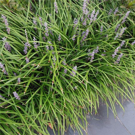 1632568747917824.jpg 1632568747917824.jpg