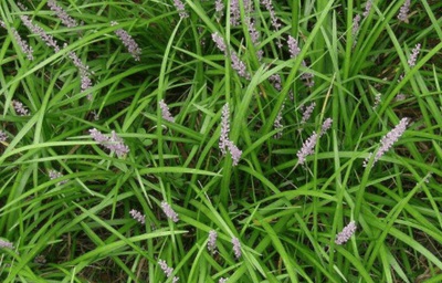 1632568764195780.jpg 1632568764195780.jpg